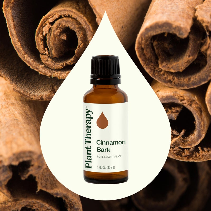 Plant Therapy Cinnamon Bark Essential Oil 30 mL (1 oz) 100% Pure, Undiluted, Therapeutic Grade - Image 3